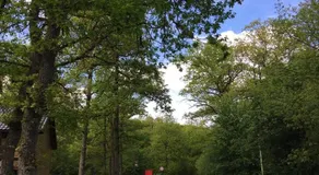 Genieterke - Image 3
