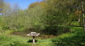 Vakantiehuis Dijkstelweg - Image 3