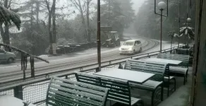 Alpine Inn Home Stay - Image 4