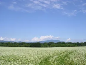 Tabino Yado Mashumaro - Image 4