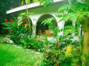 Nosarananda - Image 4