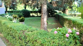 Casa Felice - Image 5