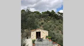 Il Sogno del Vagabondo - A Vagabond's Dream - Image 2