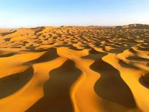 Madu Luxury Desert Camp - Image 2