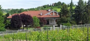 B&B Vigneto Pardom - Image 2