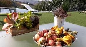 Cascina Roella - Image 3