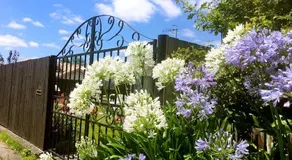 Rotorua City Center Holiday House - Image 5