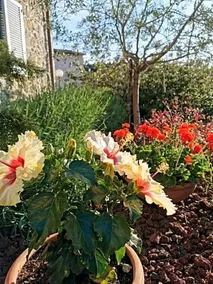 B&B Le Logge Ritrovate - Image 5