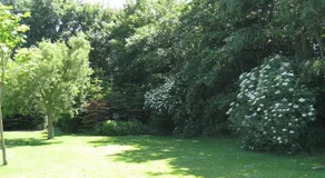Olholm Cottage - Image 5