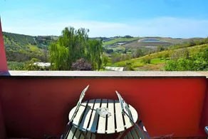 Alla Quercia - Image 5
