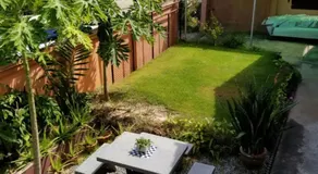Bamboo Garden - Image 4