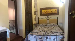IL MIGNOLO DI SAN GIOVANNI - Image 4