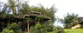 Arasha Resort & SPA - Image 2