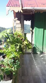 Batasia Homestay , Darjeeling - Image 2