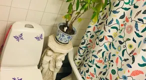Room at Stockholm - Sweden - Image 5