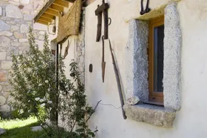 El Quinto Pino - Image 2