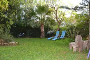 Sole del Sud - Image 3