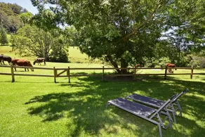 Whispers at Cedar Grove - Image 5