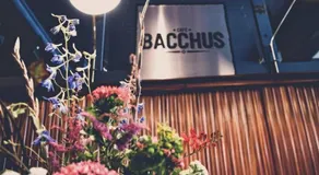Bacchus Antwerpen - Rooms & Apartments - Image 5