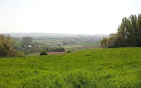 Renaixance - Image 5