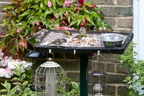 Melbury B&B - Image 5