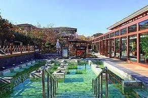 Golden Pebble Tang Dynasty International Hot Spring Resort - Image 3