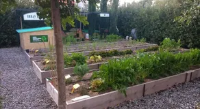 Masseria Urbana - Image 2