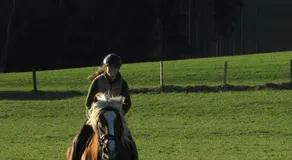 Ferienwohnungen Maderebner - Image 2