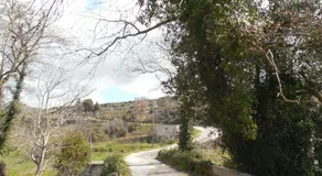 Elia - Image 2