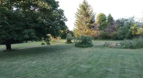 La Forge - Image 5