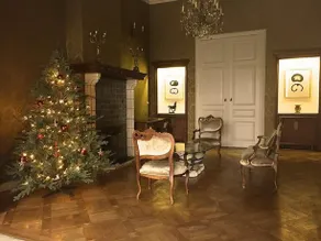AUTHENTIC 19TH C. MANSION WITH SPACIOUS GARDEN - Image 3