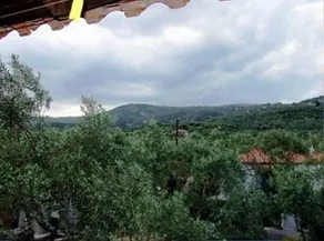 Hotel Kassandra - Image 5