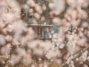 Yewangxiangjuminsu - Image 5