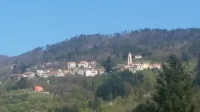 B&B Il Pergolo - Image 4