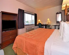 The Fern Hotel - Image 4