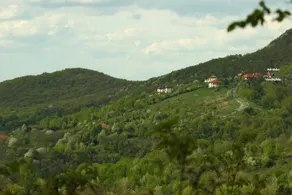 Harsberc Vendeghaz - Image 5