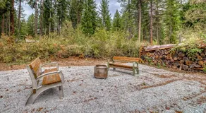 Pinecone Den - Image 4