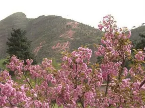 Beijing Xiaoxiange Hotel - Image 5