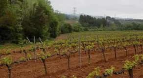 Casa Rural La Fàbrega - Image 4