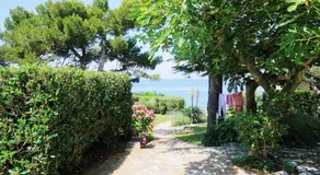 Villa Ana - Image 5