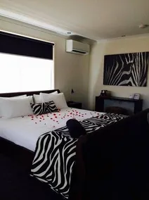 Zebras - Image 5