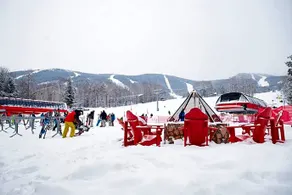 Snow Cap Inn - Image 2