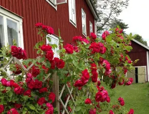 STF Regnagården Hostel - Image 2