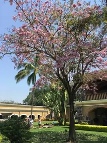 Casa Paraíso - Image 5