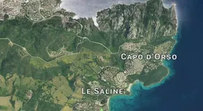 Nido di mare - Image 3