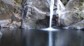 A Casinha - Image 5