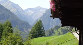 Angstingerhof - Image 3