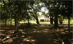 Finca La Dacha - Image 5