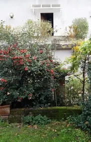 B&B Nenè - Image 3