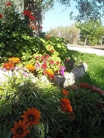Il Corallo Del Salento - Image 4